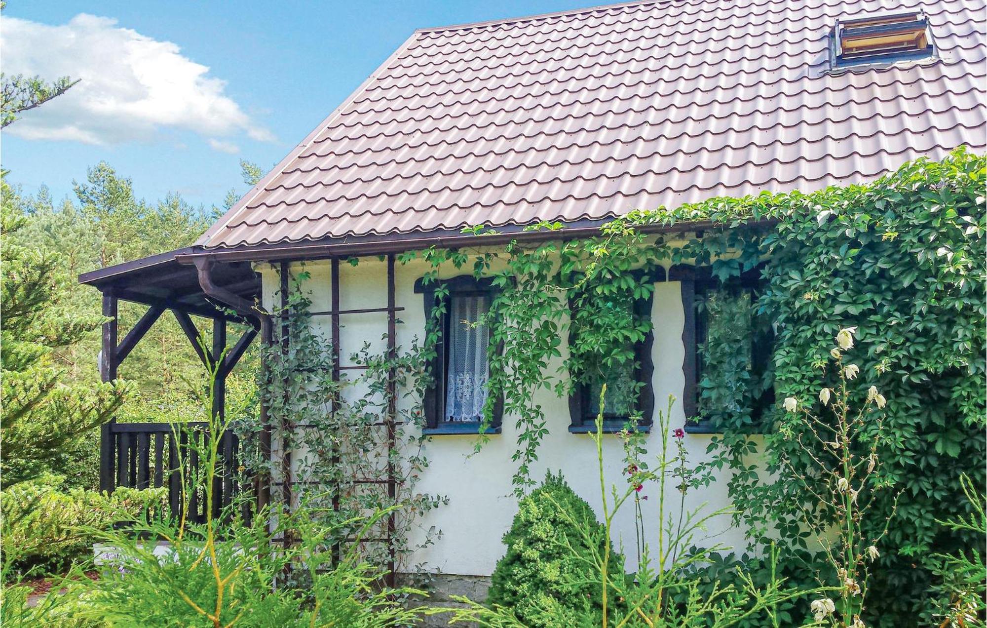 3 Bedroom Stunning Home In Dziemiany Exteriér fotografie